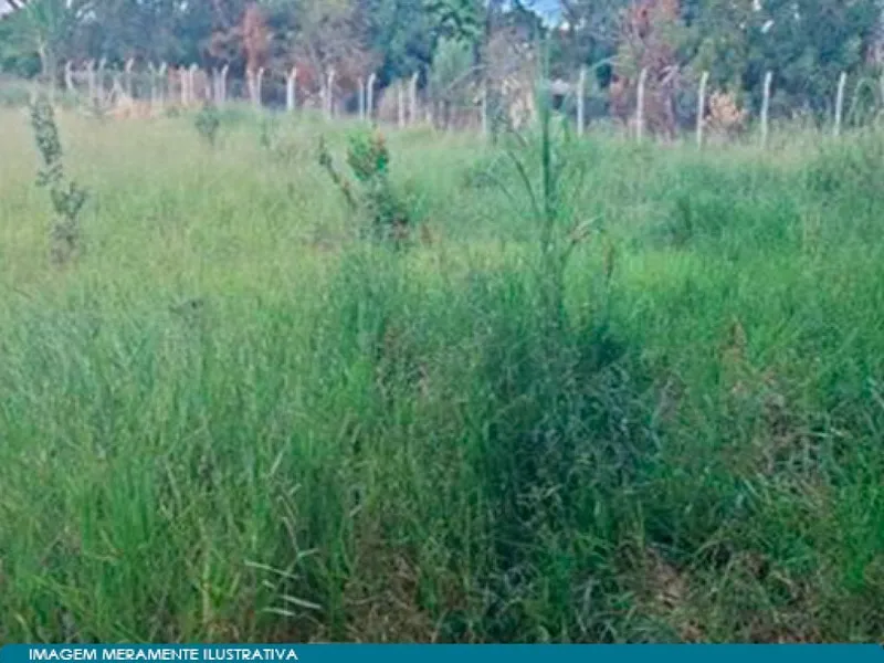 Terreno em leilão