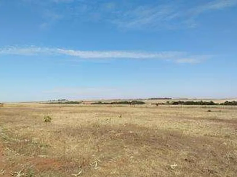 Imóvel rural em leilão