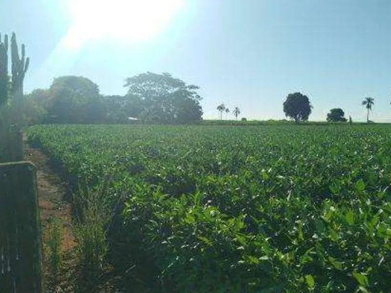 Imóvel rural em leilão