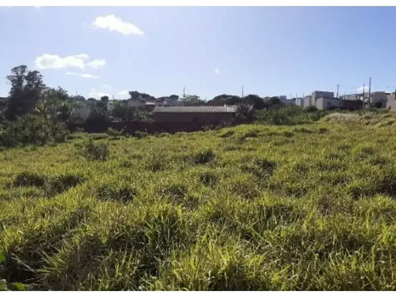 Terreno em leilão