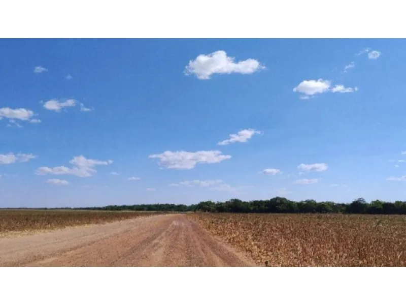 Terreno em leilão