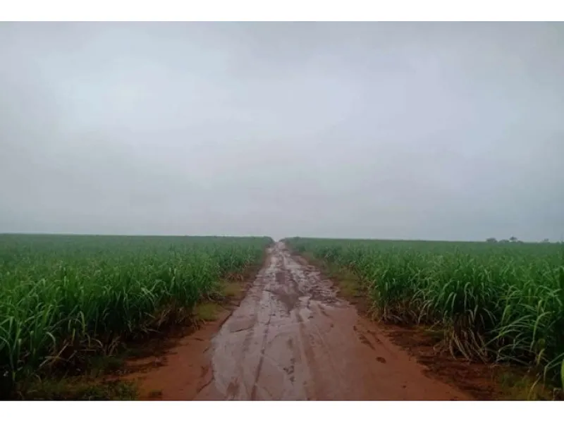 Imóvel rural em leilão