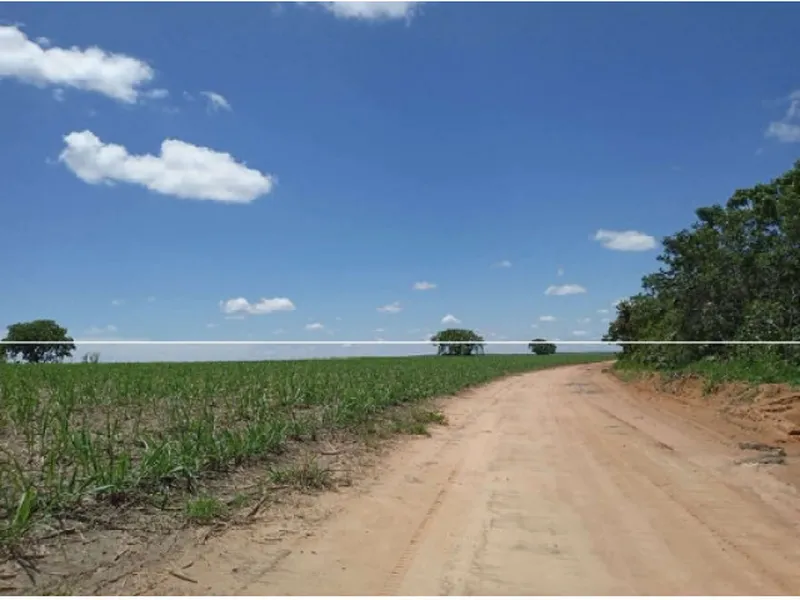 Imóvel rural em leilão
