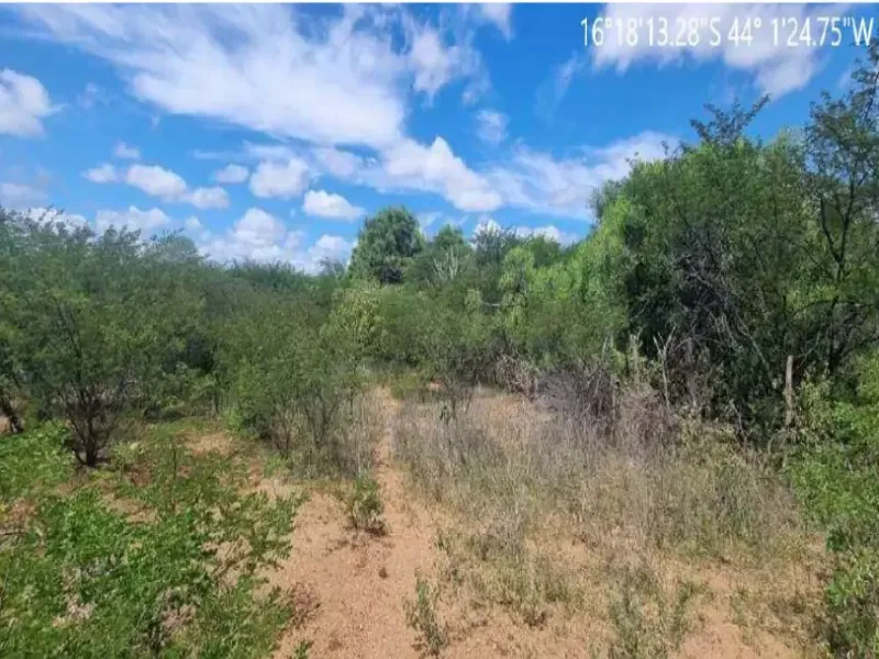 Imóvel rural em leilão