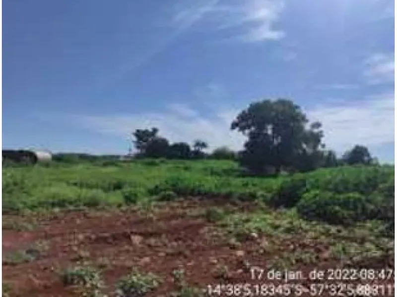 Terreno em leilão