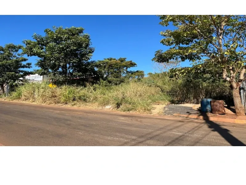 Outros em leilão