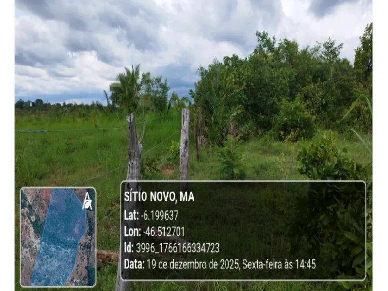 Imóvel rural em leilão