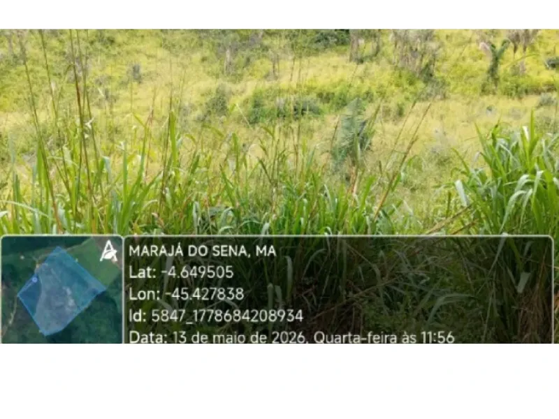 Imóvel rural em leilão