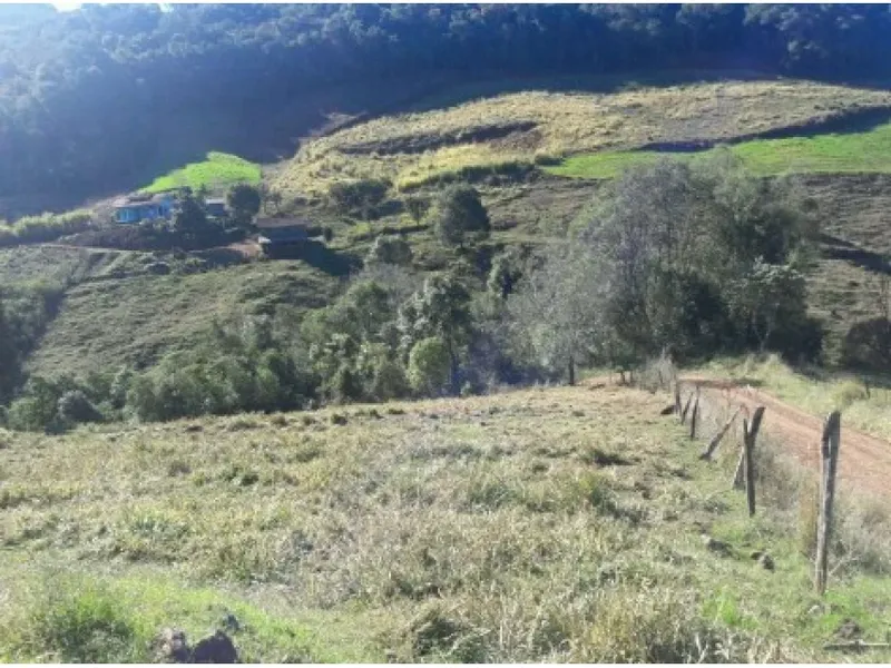 Imóvel rural em leilão