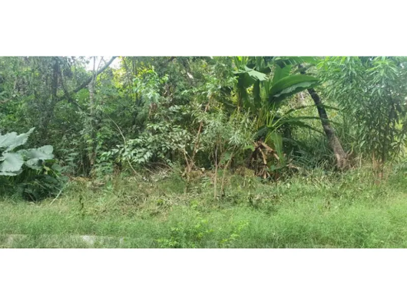 Terreno em leilão