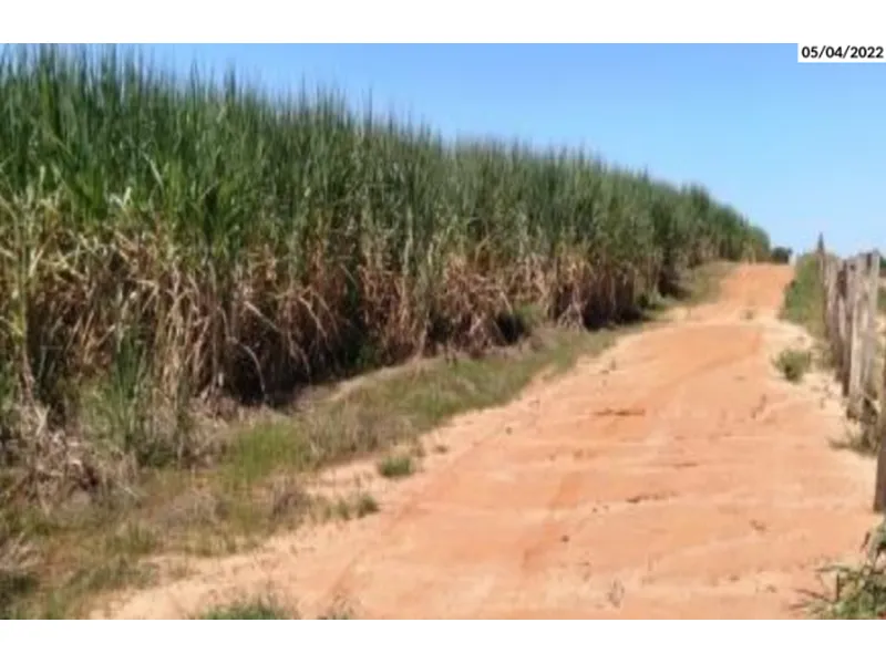 Imóvel rural em leilão