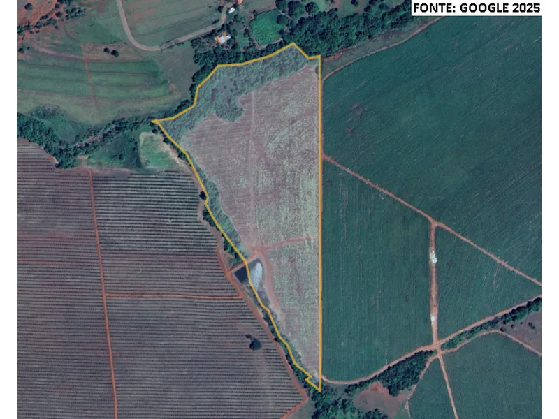 Imóvel rural em Leilão Judicial