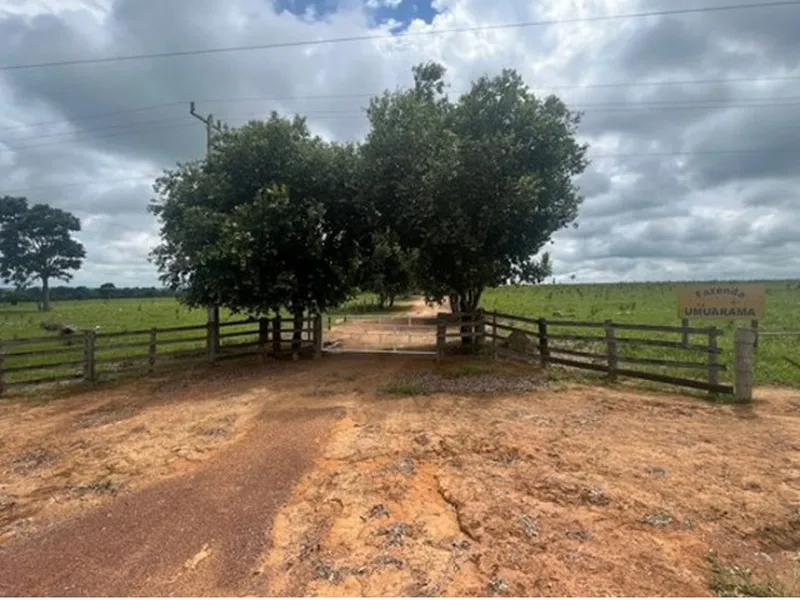 Imóvel rural em Leilão Judicial