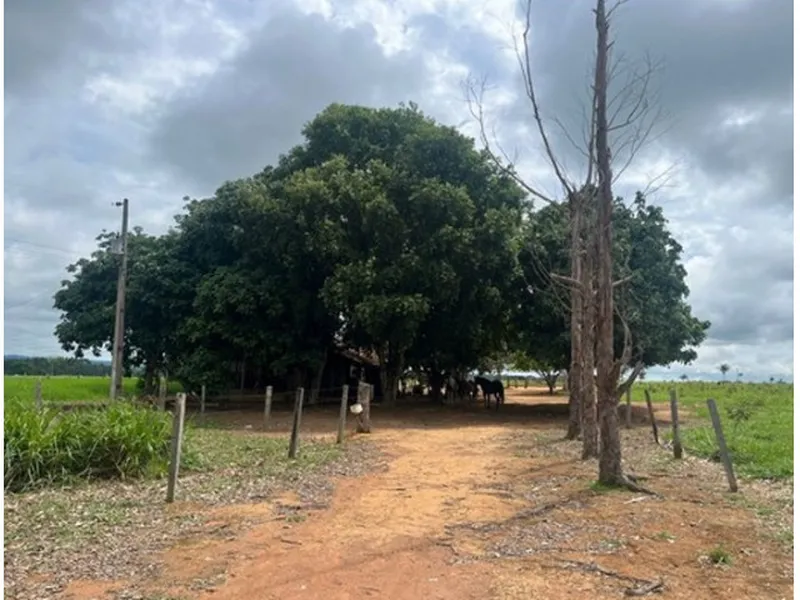 Imóvel rural em leilão