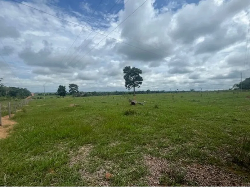 Imóvel rural em leilão