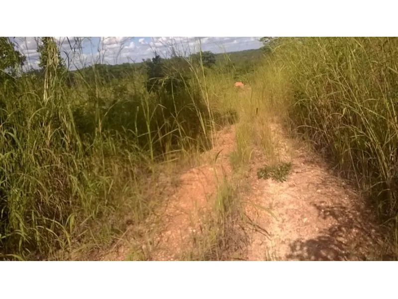 Imóvel rural em leilão
