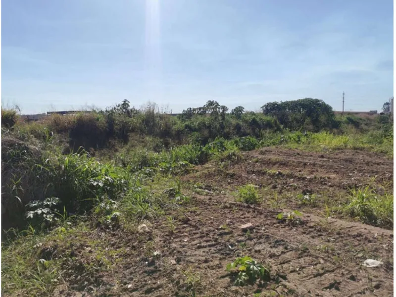 Imóvel rural em leilão