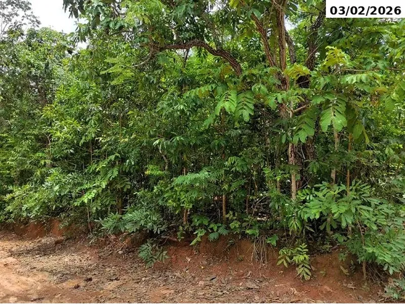 Terreno em leilão
