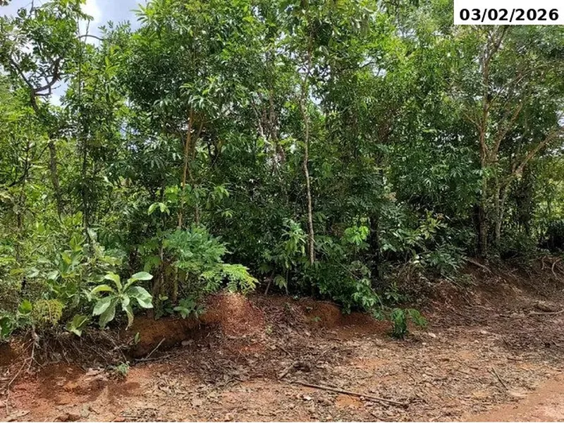 Terreno em leilão