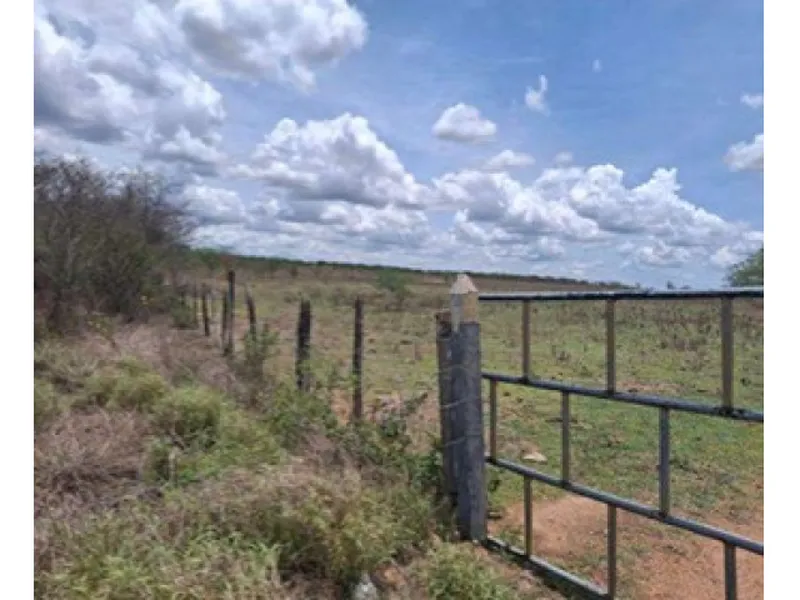 Imóvel rural em Leilão Judicial
