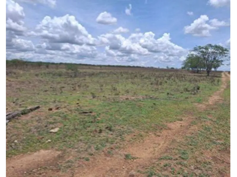 Imóvel rural em Leilão Judicial