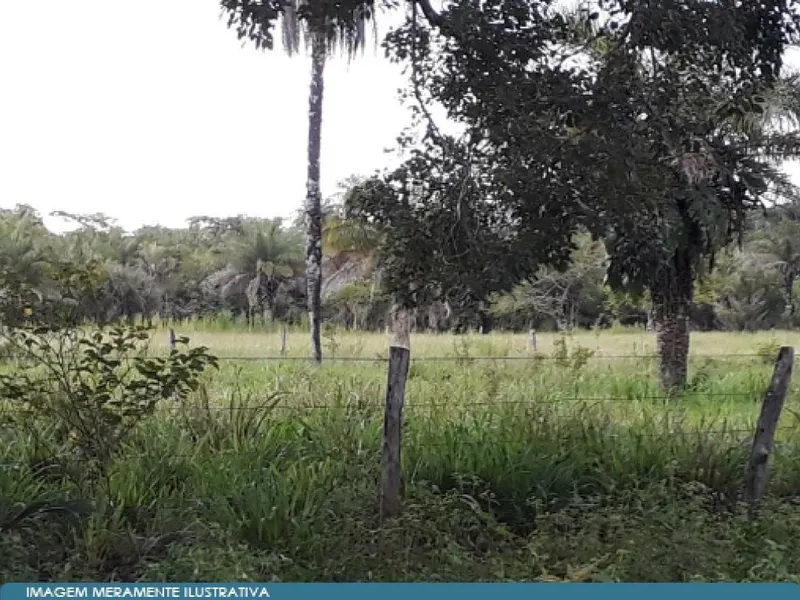 Imóvel rural em leilão