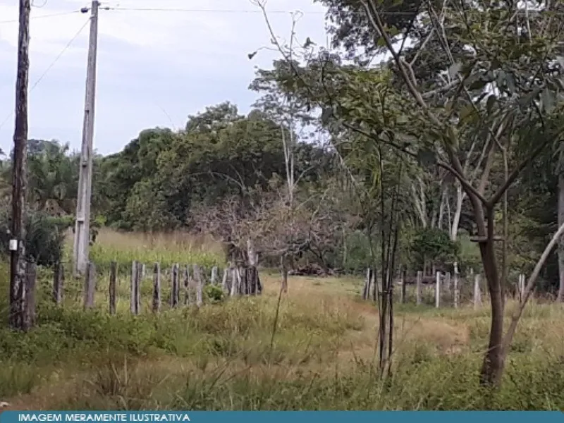 Imóvel rural em leilão