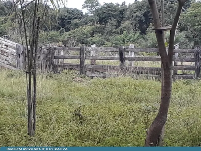 Imóvel rural em leilão