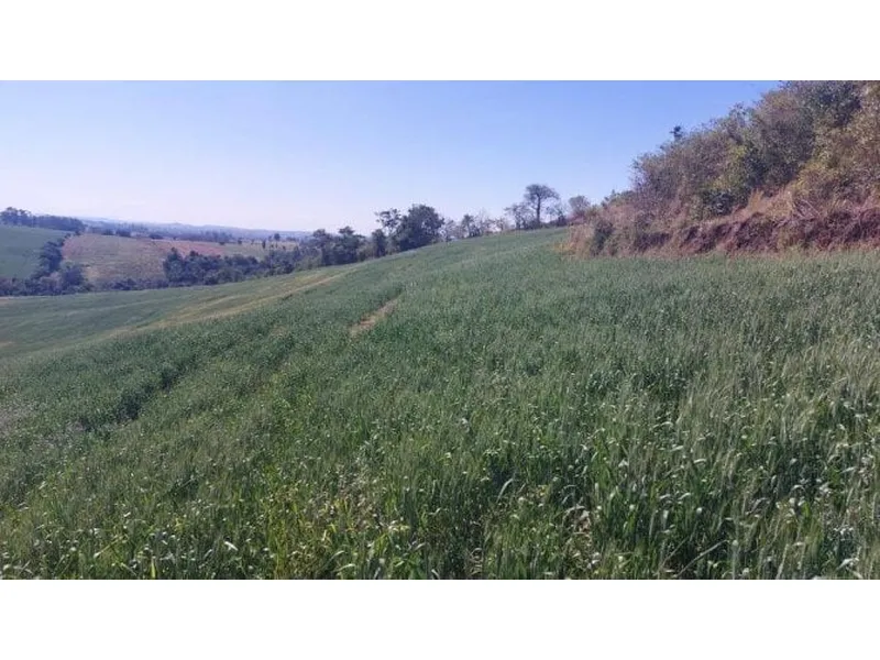 Imóvel rural em leilão