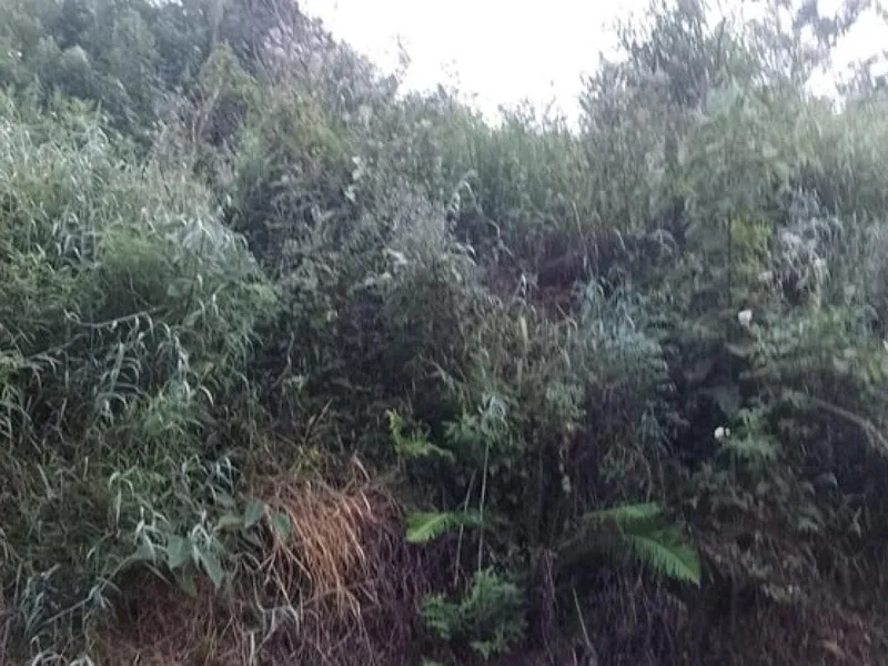 Terreno em Leilão Extrajudicial