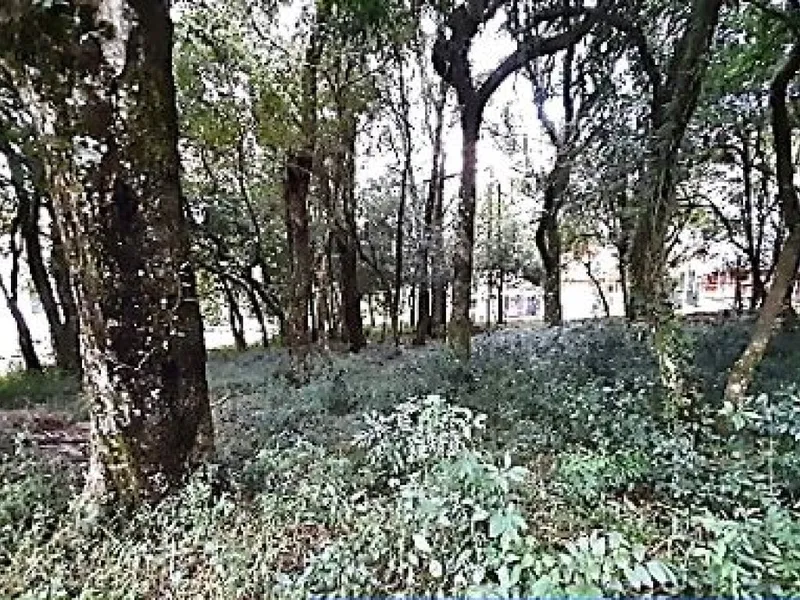 Terreno em Leilão Extrajudicial