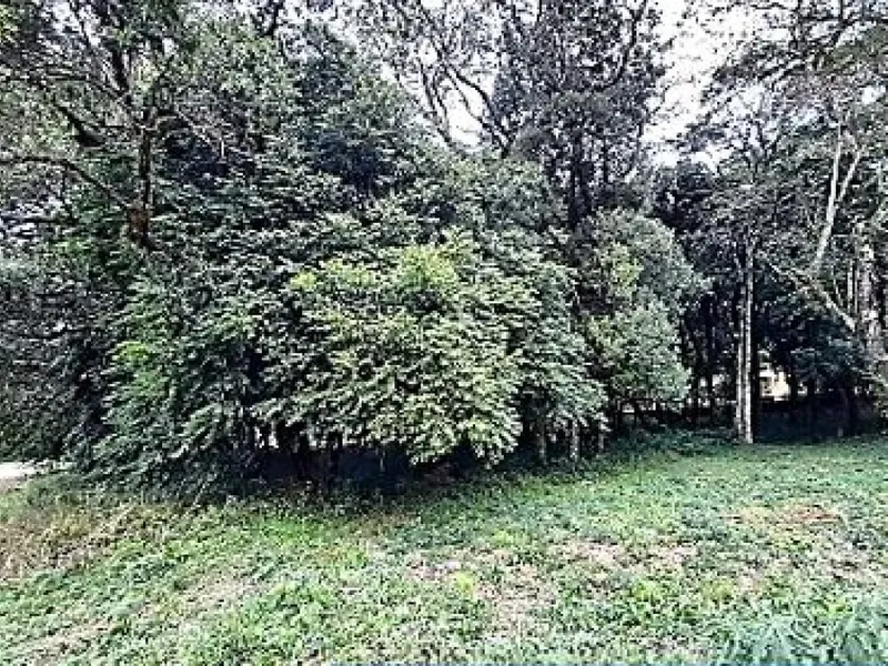 Terreno em leilão