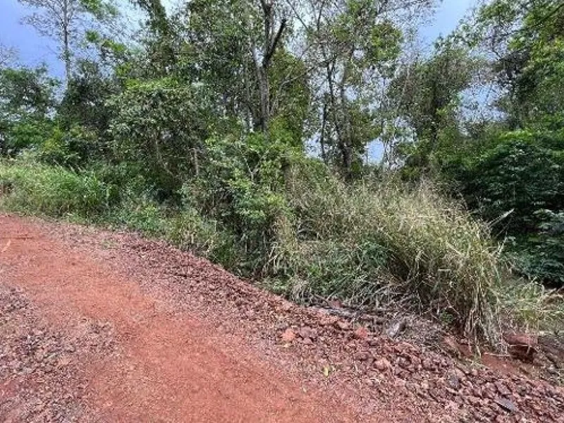 Outros em leilão
