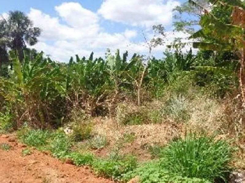 Terreno em leilão