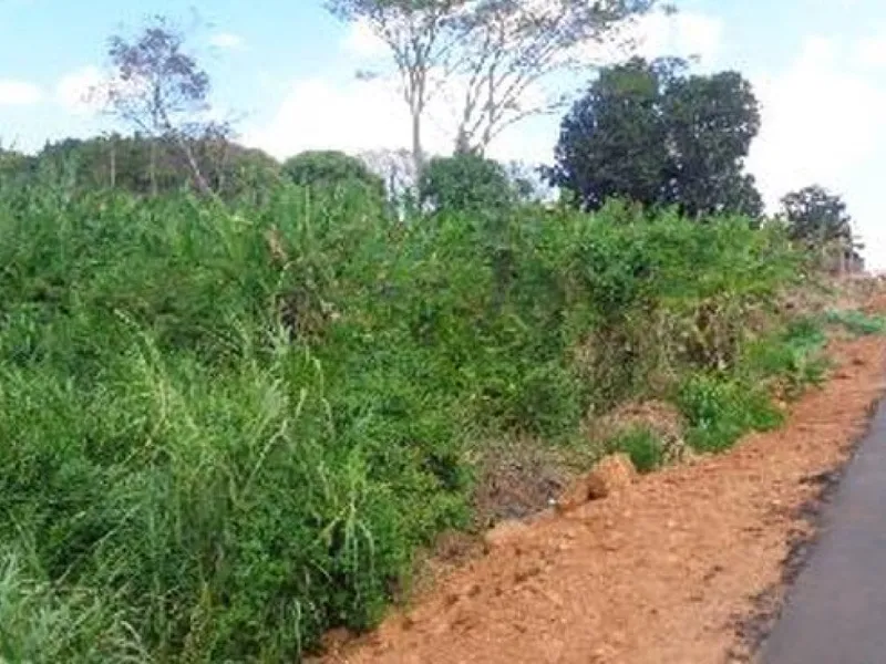 Terreno em leilão