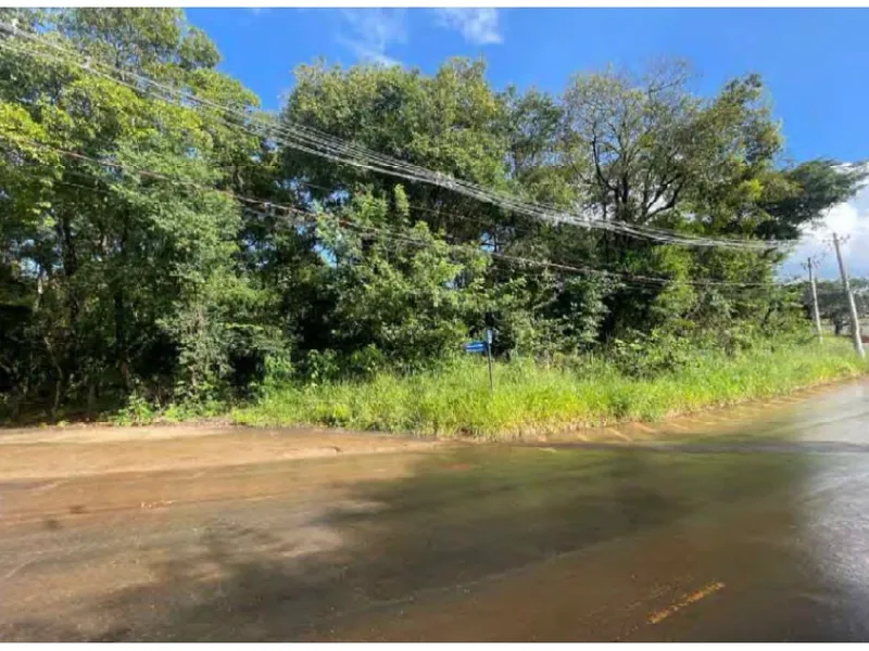 Terreno em leilão