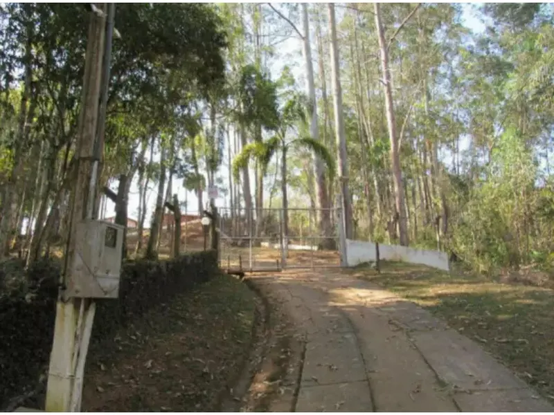 Gleba em leilão