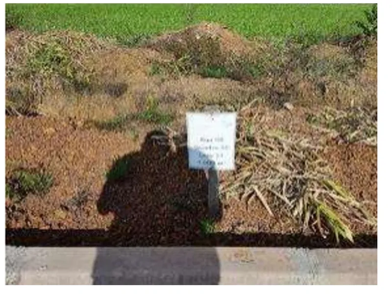 Terreno em leilão