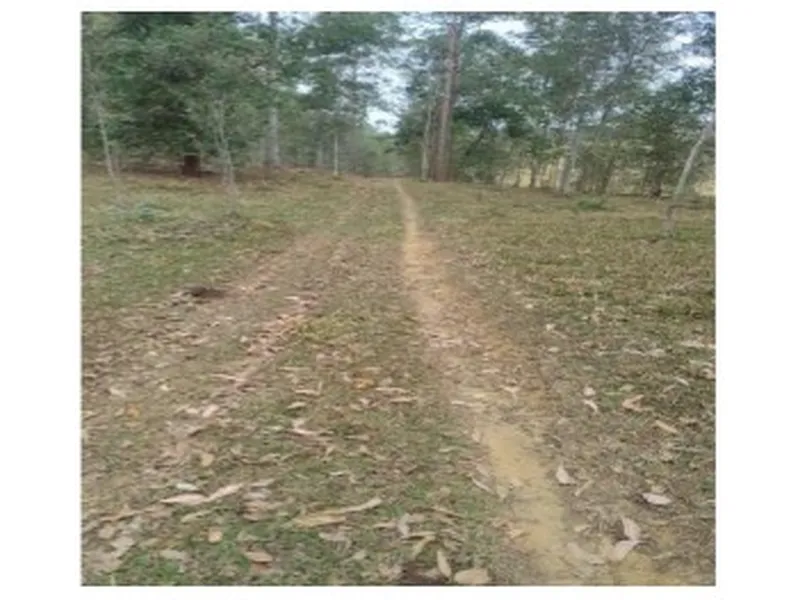 Imóvel rural em Leilão Extrajudicial