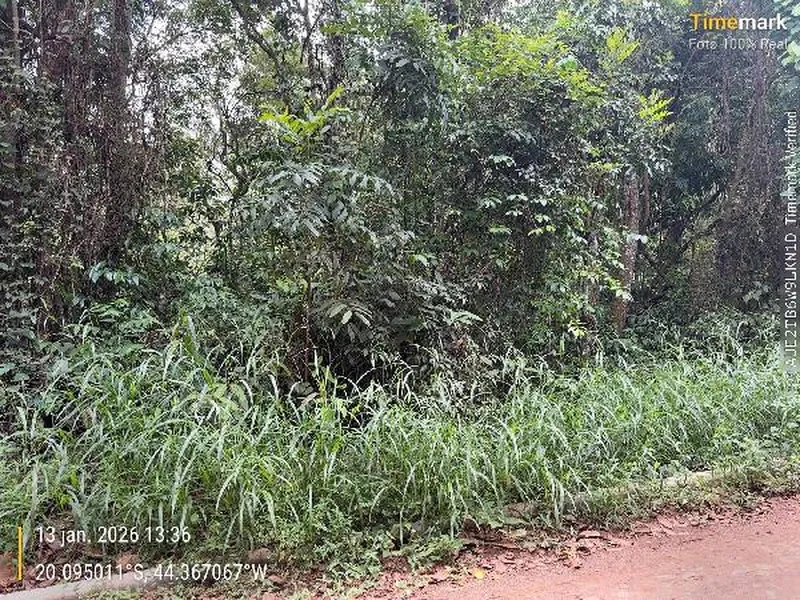 Terreno em Licitação