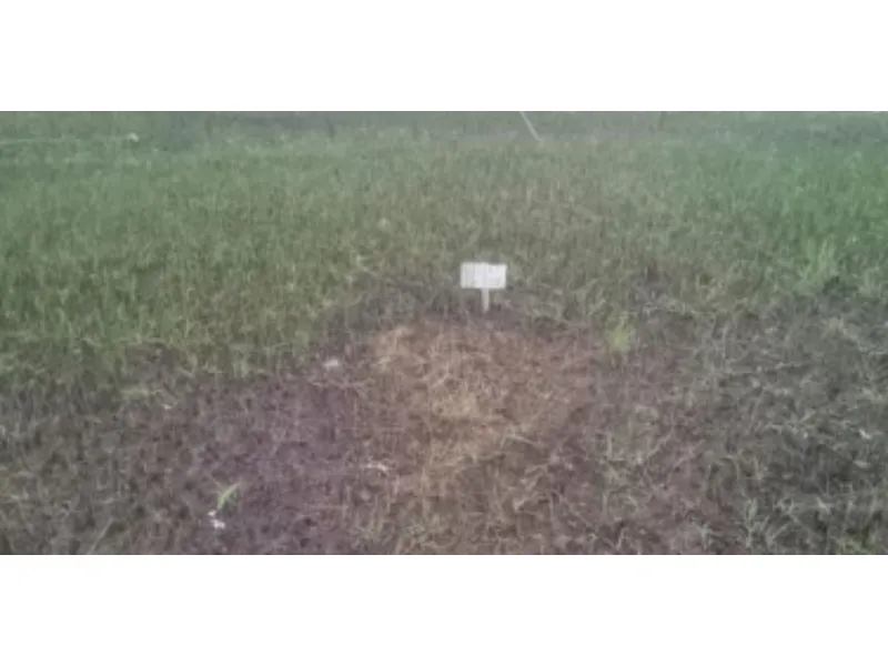 Terreno em leilão