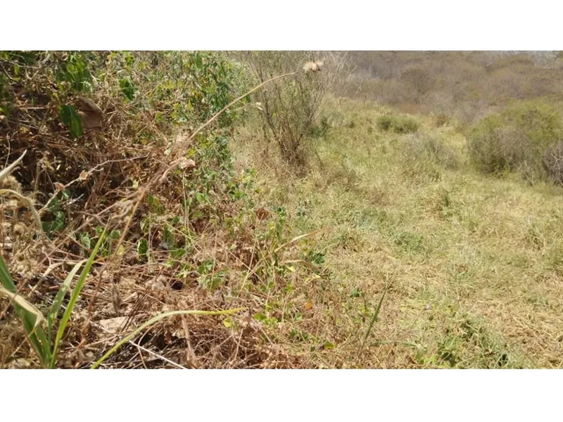 Terreno em Leilão Judicial