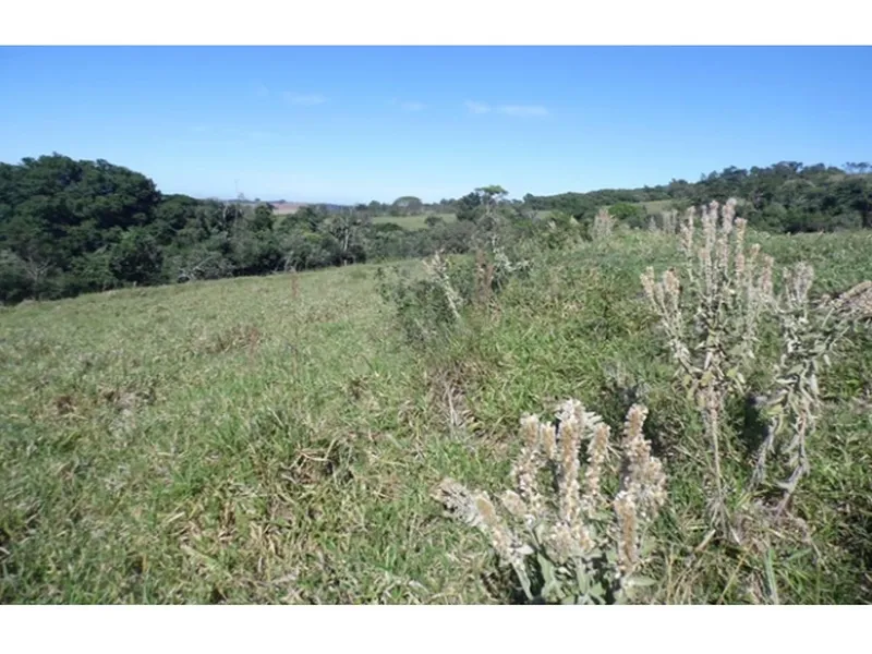 Imóvel rural em leilão