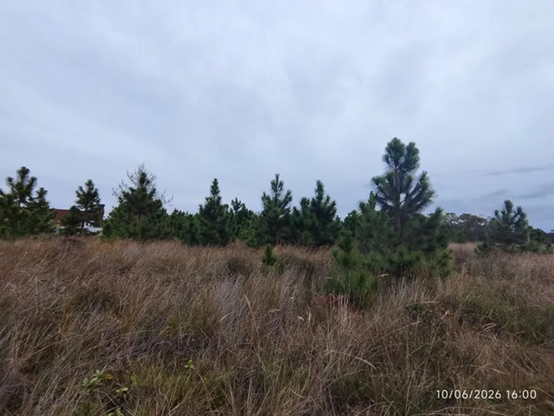 Terreno em leilão