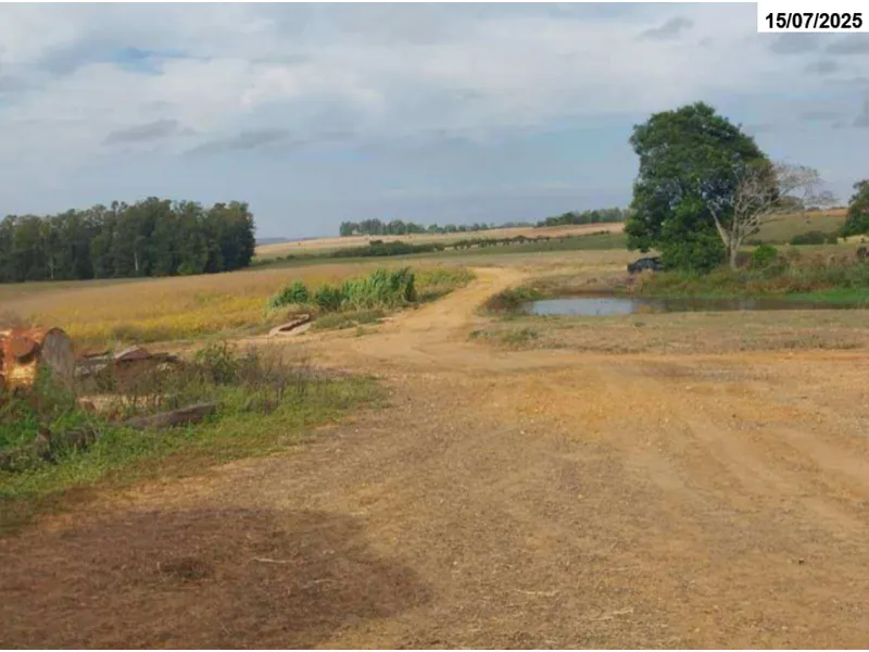 Imóvel rural em leilão