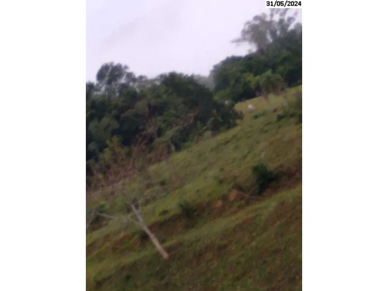 Imóvel rural em Leilão Judicial
