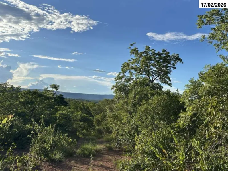 Imóvel rural em leilão