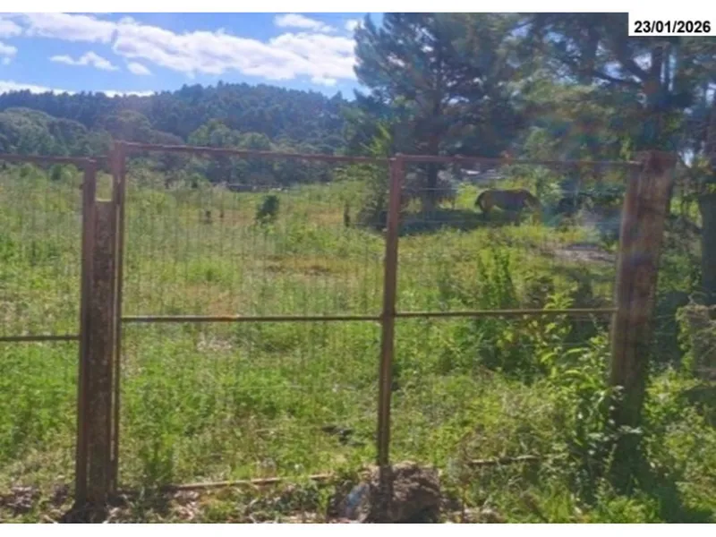 Imóvel rural em leilão