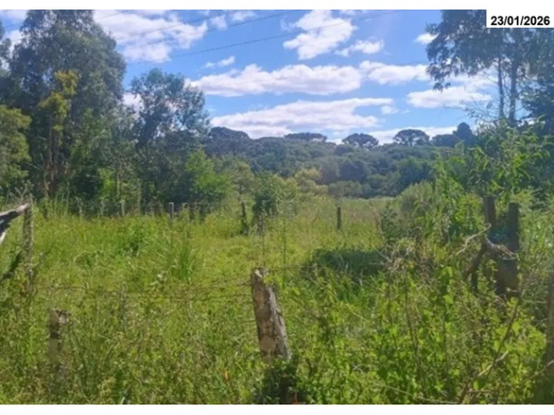 Imóvel rural em leilão