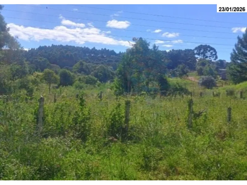 Imóvel rural em leilão